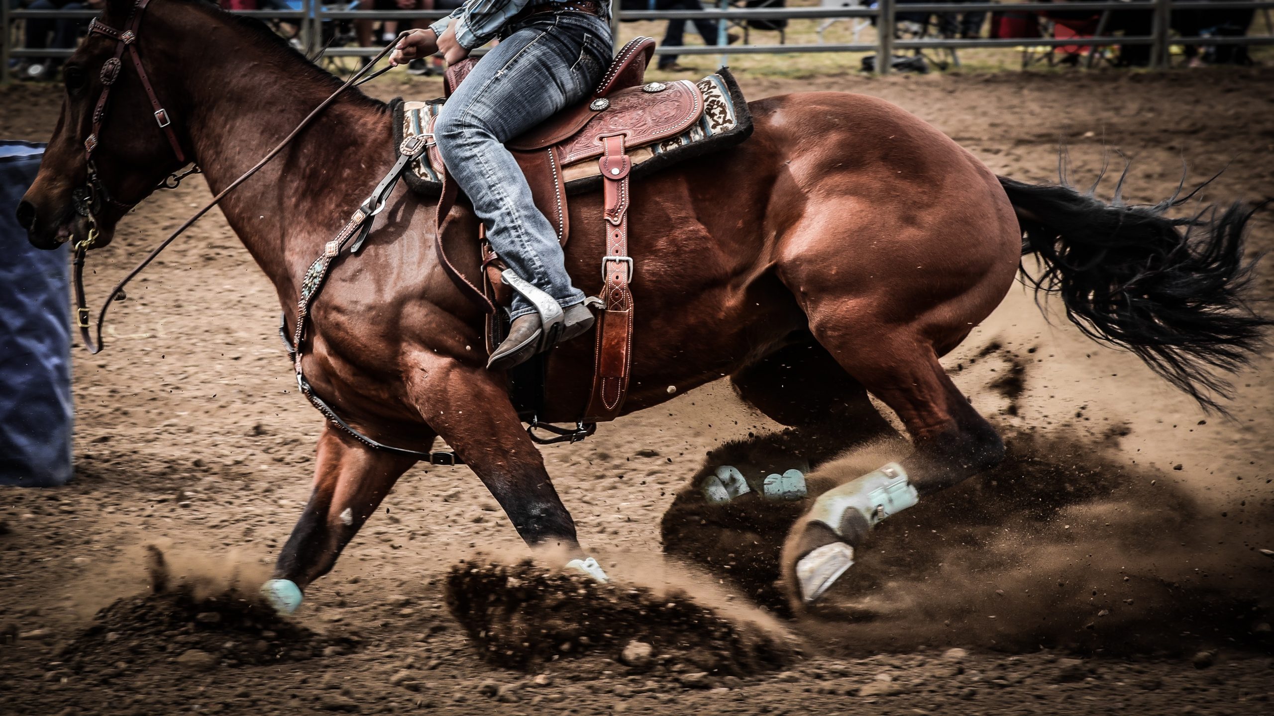 Rodeo Horse Barrel Racing